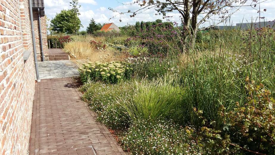 Project Roeselare