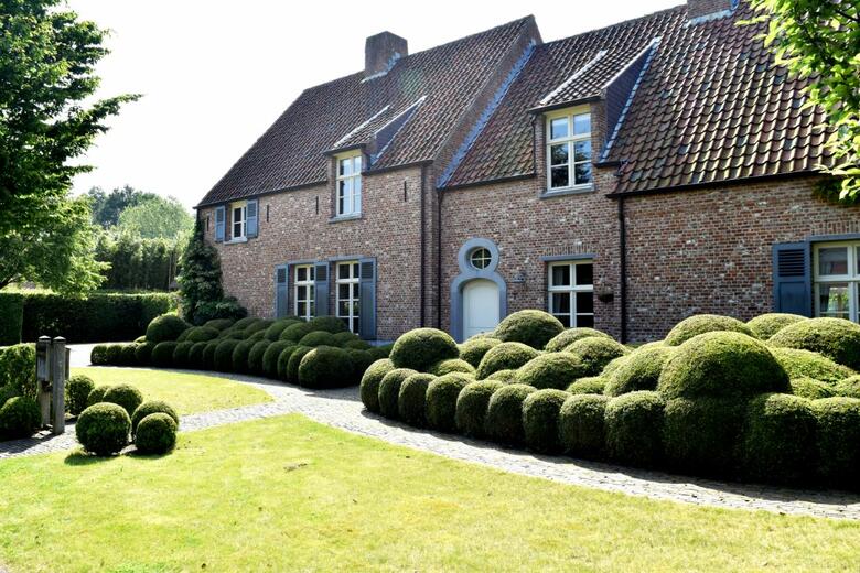 Project Brugge